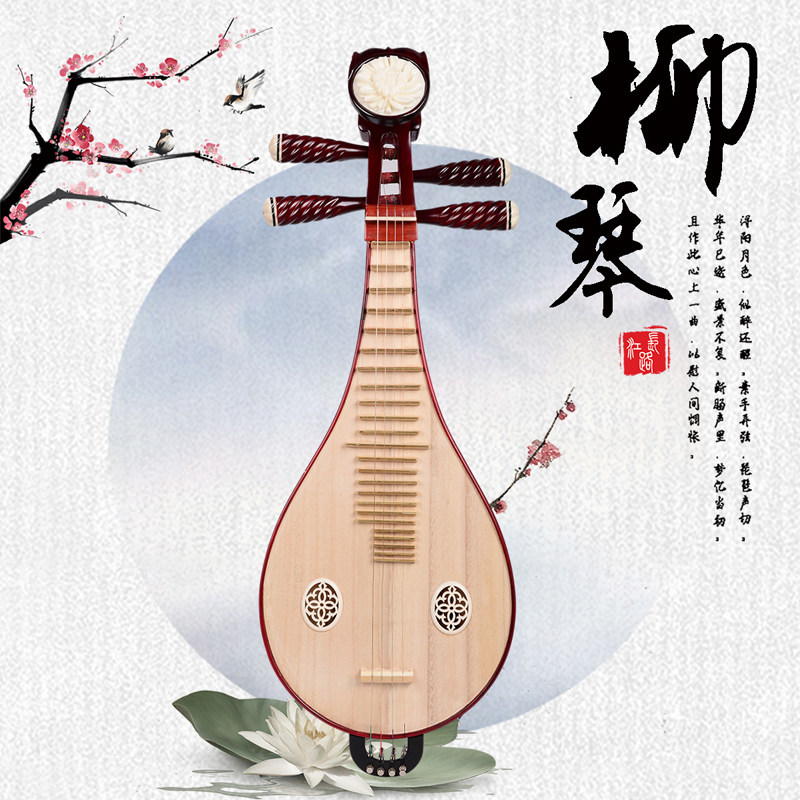 Musical Instruments - Profesyonel Performans ve Derecelendirme Sınavı Liuqin